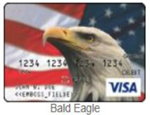 Bald Eagle Gift card