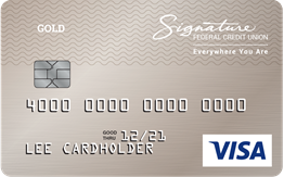 Visa Gold credit card image