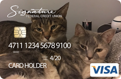 Create a card example image of two cats hanging out together.